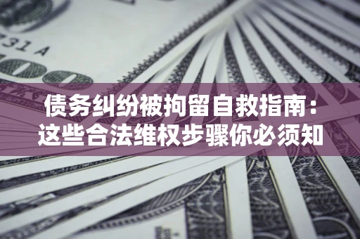济南债务纠纷被拘留自救指南：这些合法维权步骤你必须知道！