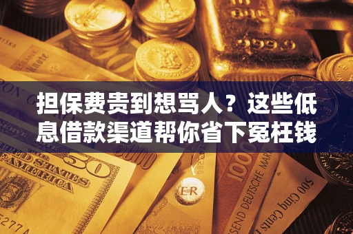济南担保费贵到想骂人？这些低息借款渠道帮你省下冤枉钱