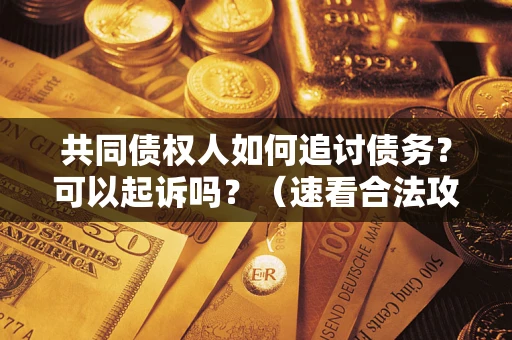 济南共同债权人如何追讨债务？可以起诉吗？（速看合法攻略）